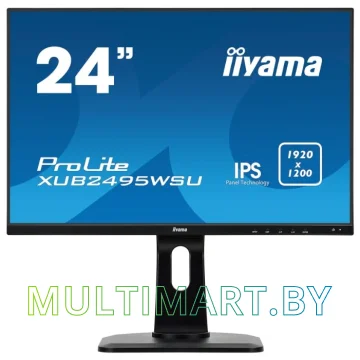 Монитор Iiyama ProLite XUB2495WSU-B1
